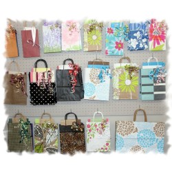 Gift Bag | Small All-Occasion with Tissue, Ribbons & Gift Tag